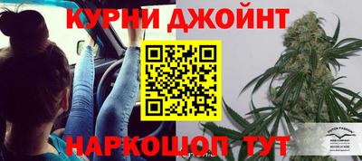 прущие грибы Ирбит
