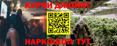 прущие грибы Ирбит